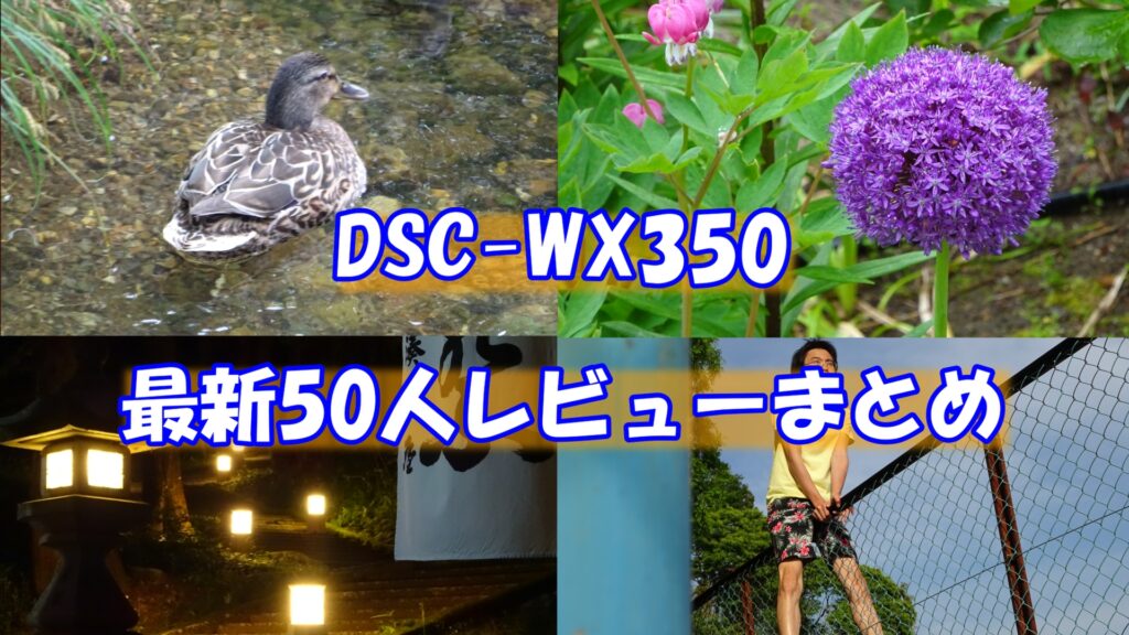DSC-WX350で撮影した新潟での写真4枚