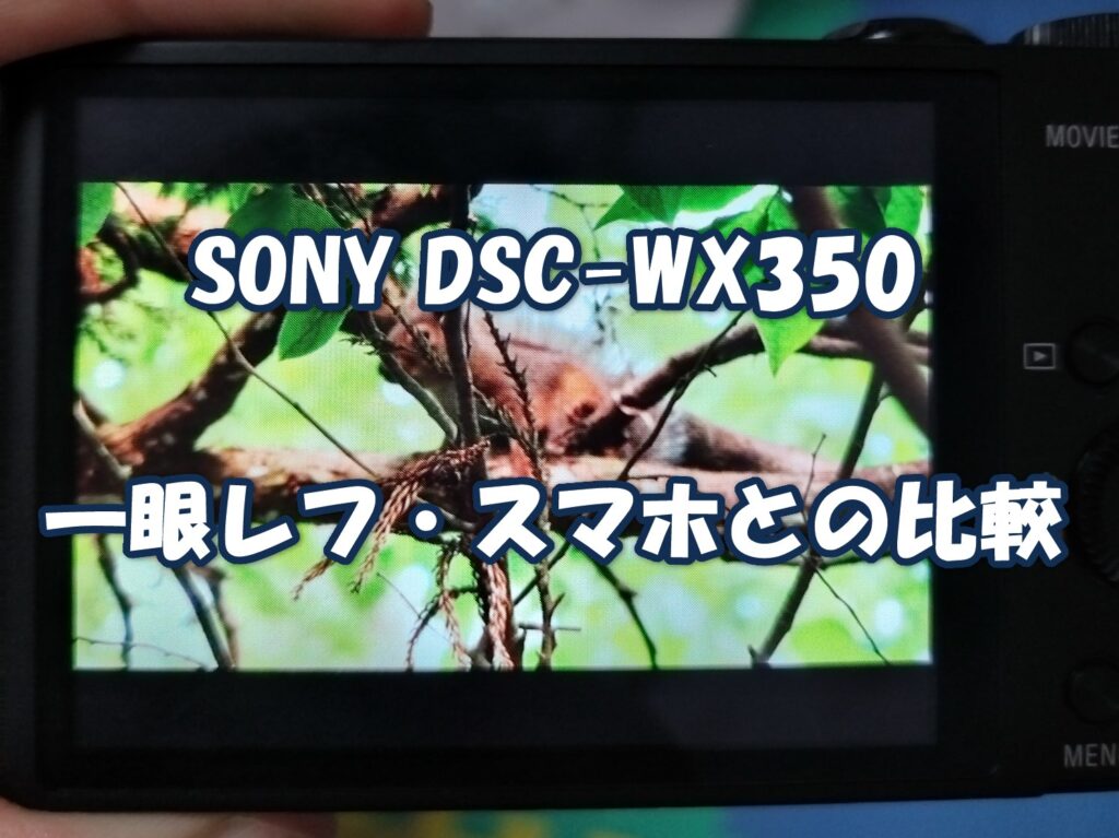 SONY DSC-WX350で撮影したニホンリス