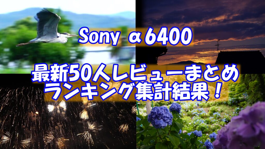 Sonyのα6400で撮影した新潟での写真4枚